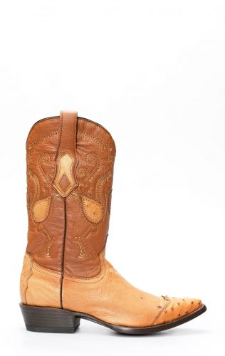 Cuadra boots in ostrich belly with honey toe on shoulder