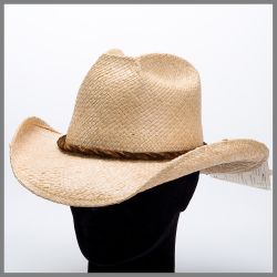 Shady Brady natural hat in palm leaf with leather band